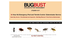 Desktop Screenshot of bugbust.net